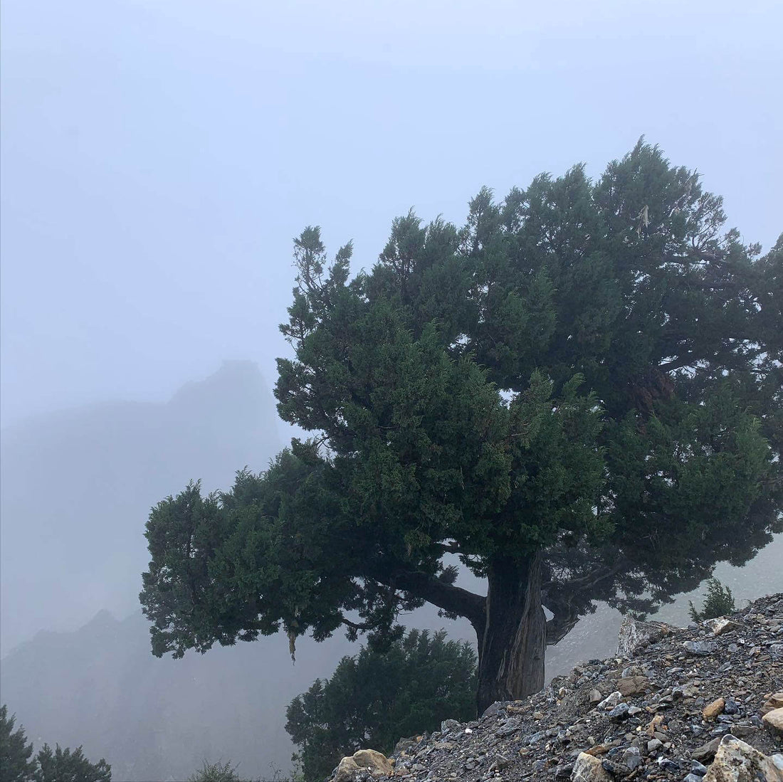 Sangda, August 29