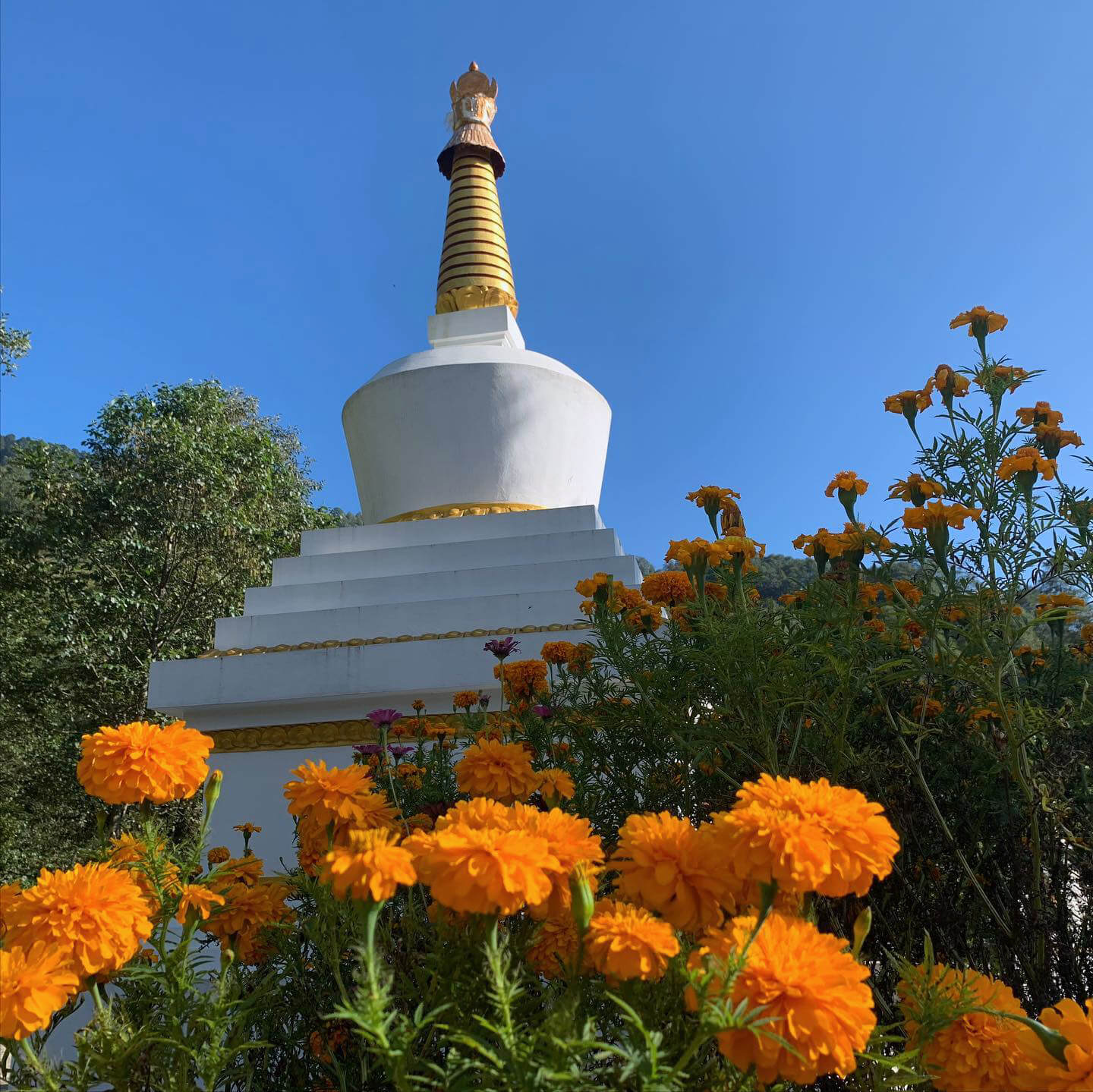 Kharchung, October 14