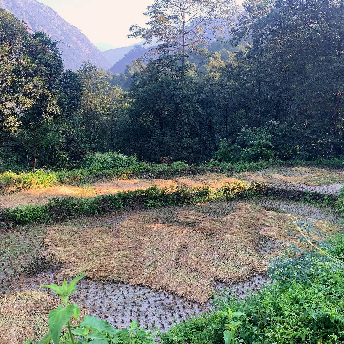 Tumlingar, November 12