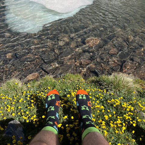 hikers waterproof socks